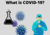 What is COVID-19? A Detailed Guide What is COVID 19?