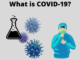 What is COVID-19? A Detailed Guide What is COVID 19?