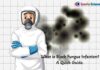 What is Black Fungus Disease? A Quick Guide. What is Black Fungus?
