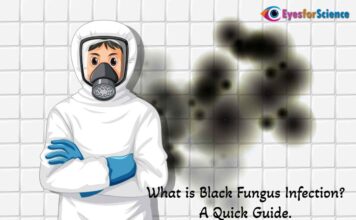 What is Black Fungus Disease? A Quick Guide. What is Black Fungus?