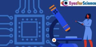 What is Nanotechnology? Everything You Need to Know About. What is Nanotechnology