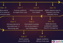 Chronological Impact of Covid-19 and New Variants Coronavirus Timeline