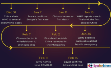 Chronological Impact of Covid-19 and New Variants Coronavirus Timeline