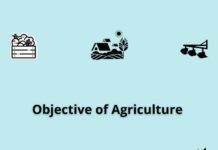 Emerging Trends and Objectives of Agriculture Objective of Agriculture