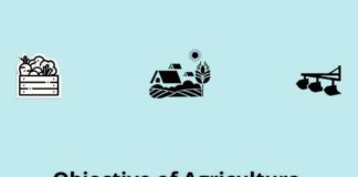 Emerging Trends and Objectives of Agriculture Objective of Agriculture