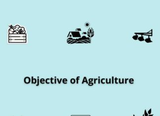 Emerging Trends and Objectives of Agriculture Objective of Agriculture