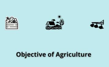 Emerging Trends and Objectives of Agriculture Objective of Agriculture