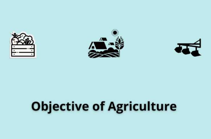 Objective of Agriculture