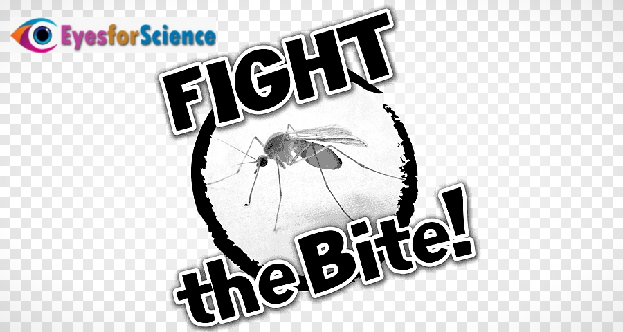 Mosquito image - West Nile Virus