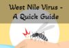 West Nile Virus – A Quick Guide West Nile Virus