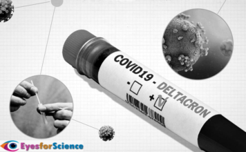 What is Deltacron? What You Must Know?