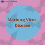 What is Marburg Virus Disease? A Detailed Guide. Marburg Virus Disease