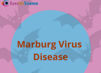 What is Marburg Virus Disease? A Detailed Guide. Marburg Virus Disease