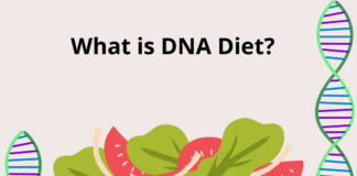 DNA Diet- An Educational Guide What is DNA Diet