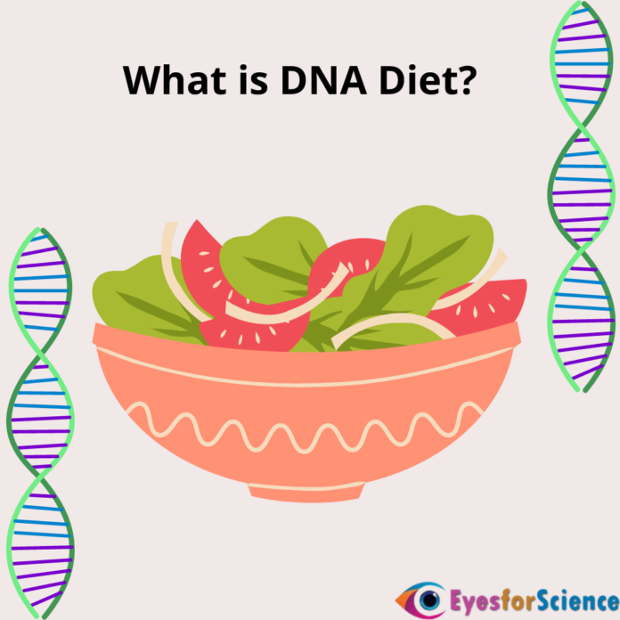 What is DNA Diet