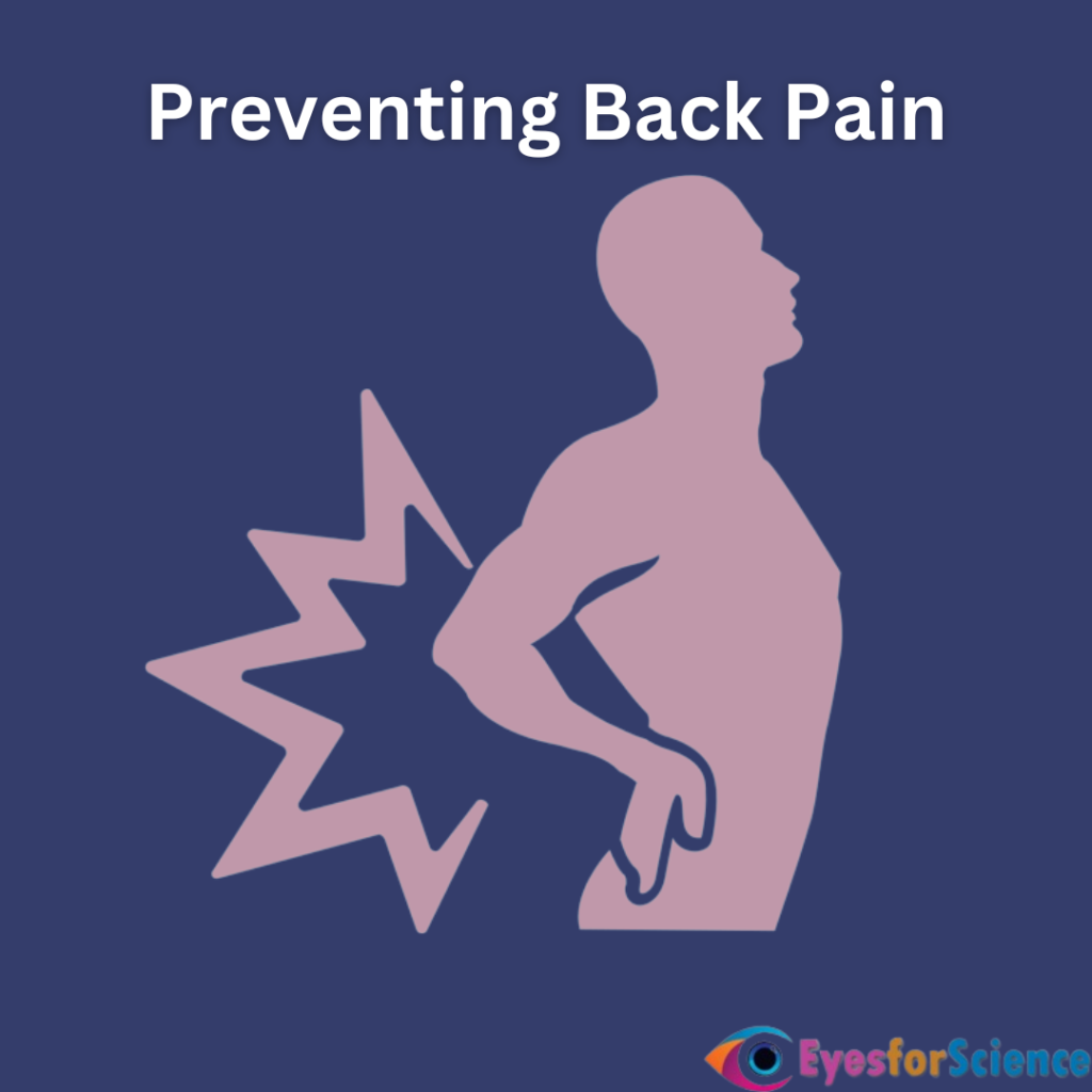Preventing Back Pain