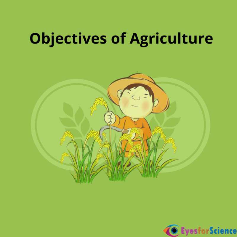 Objectives of Agriculture