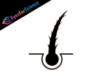 Split Ends – A Quick Guide Split Ends