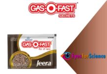 Important things you need to know about Gas O Fast Gas O Fast