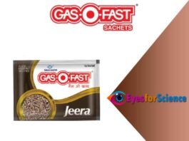 Gas O Fast