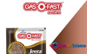 Important things you need to know about Gas O Fast Gas O Fast