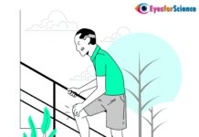 What is Osteoarthritis? What is Osteoarthritis