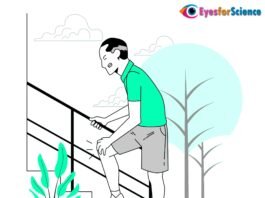 What is Osteoarthritis