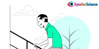 What is Osteoarthritis? What is Osteoarthritis