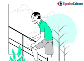 What is Osteoarthritis? What is Osteoarthritis