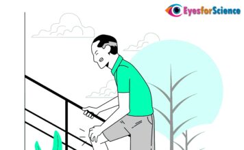 What is Osteoarthritis? What is Osteoarthritis