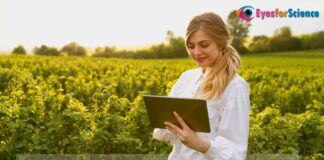 Top Global Trends in Agriculture in 2024 Global Trends in Agriculture