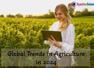 Top Global Trends in Agriculture in 2024 Global Trends in Agriculture