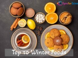 Top 10 Winter Foods