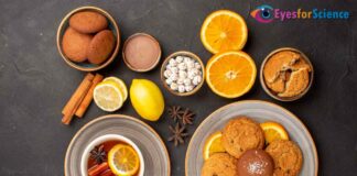 Embrace the Chill and be Warm; Healthy with these Top 10 Winter Foods Top 10 Winter Foods