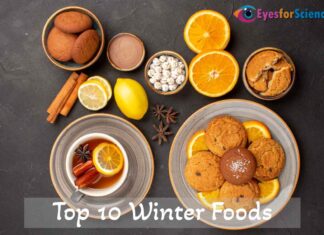 Embrace the Chill and be Warm; Healthy with these Top 10 Winter Foods Top 10 Winter Foods