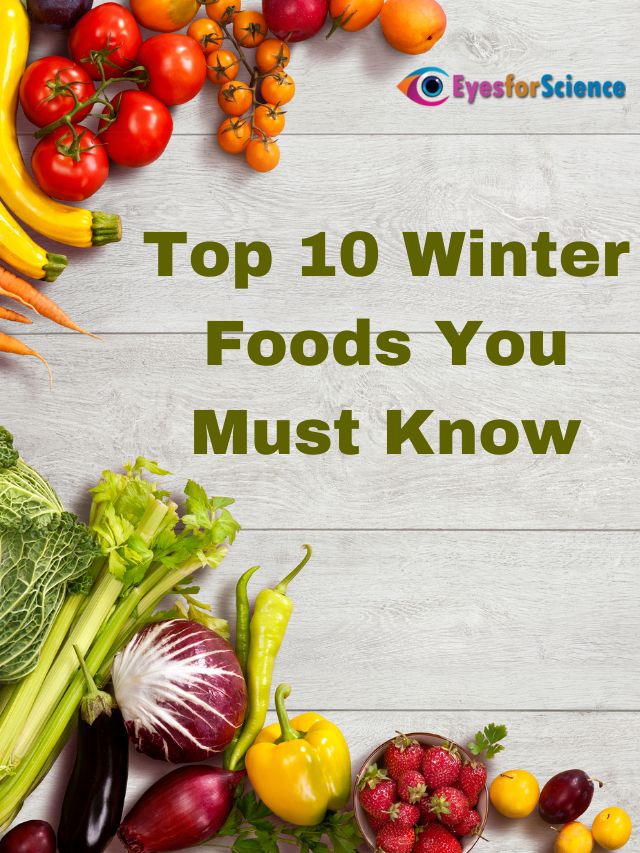 Top 10 Winter Foods You Must Know