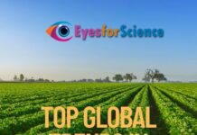 Top Global Trends in Agriculture in 2024 Top Global Trends in Agriculture in 2024