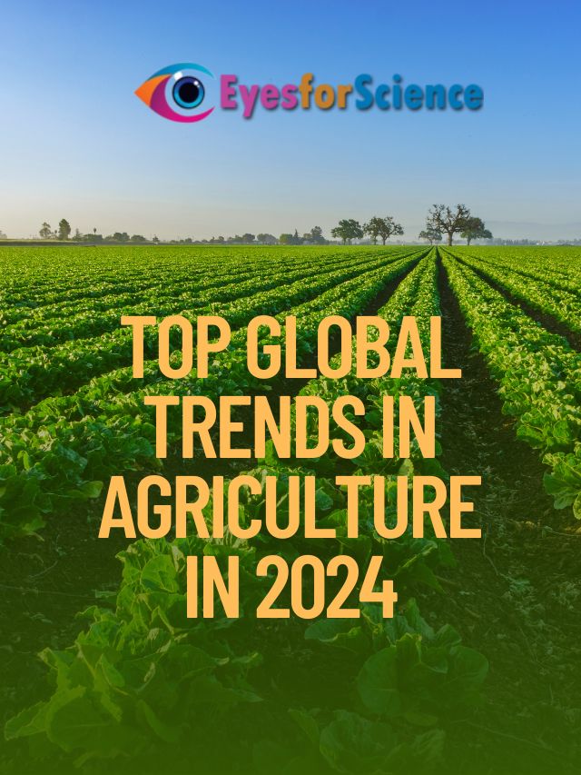 Top Global Trends in Agriculture in 2024