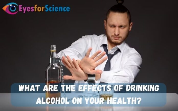 Effects of Drinking Alcohol
