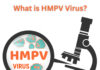 What is HMPV Virus? A Quick Guide. What is HMPV Virus?