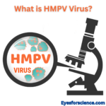 What is HMPV Virus? A Quick Guide. What is HMPV Virus?