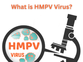 What is HMPV Virus? A Quick Guide. What is HMPV Virus?