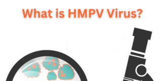 What is HMPV Virus? A Quick Guide. What is HMPV Virus?