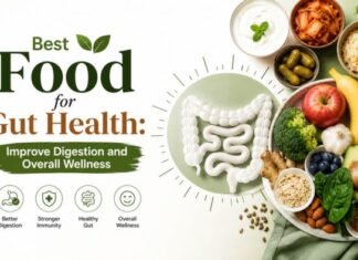 Best Food for Gut Health: Improve Digestion and Overall Wellness Best Food for Gut Health Improve Digestion and Overall Wellness
