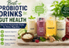 Best Probiotic Drinks for Gut Health: Natural & Homemade Drinks for Better Digestion Best Probiotic Drinks for Gut Health