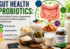 Gut Health Probiotics: Best Probiotic Foods, Supplements & Benefits for Better Digestion and Wellness Gut Health Probiotics Best Probiotic Foods, Supplements & Benefits for Better Digestion and Wellness