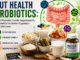 Gut Health Probiotics: Best Probiotic Foods, Supplements & Benefits for Better Digestion and Wellness Gut Health Probiotics Best Probiotic Foods, Supplements & Benefits for Better Digestion and Wellness