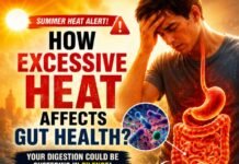 How Excessive Heat Affects Gut Health? How Excessive Heat Affects Gut Health?