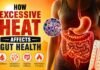 How Excessive Heat Affects Gut Health? How Excessive Heat Affects Gut Health