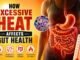How Excessive Heat Affects Gut Health? How Excessive Heat Affects Gut Health